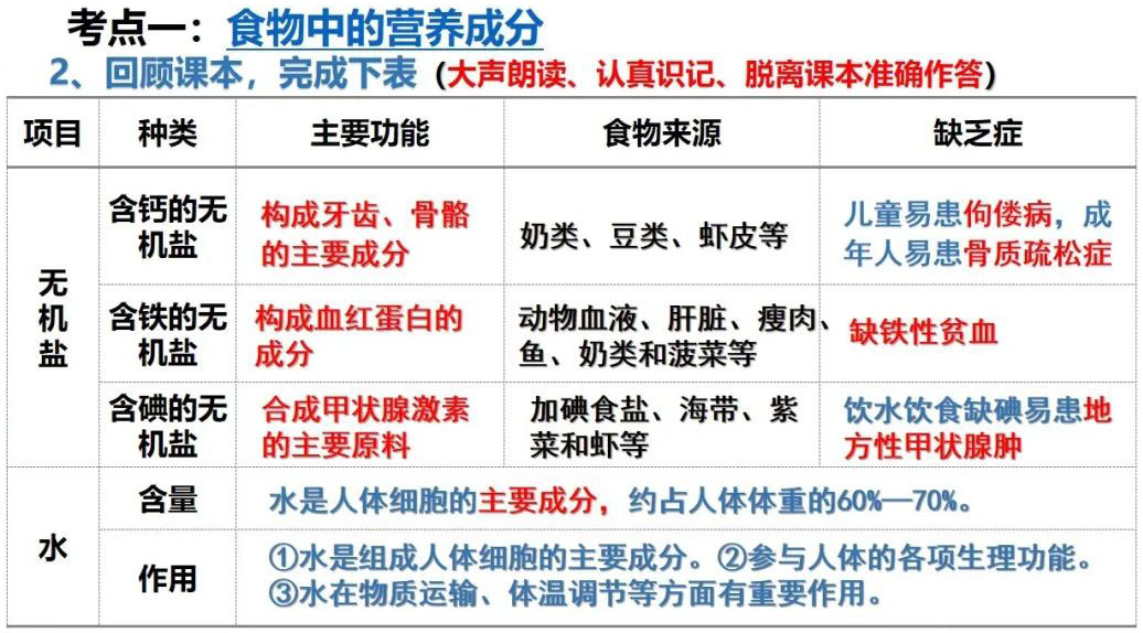 人体的营养