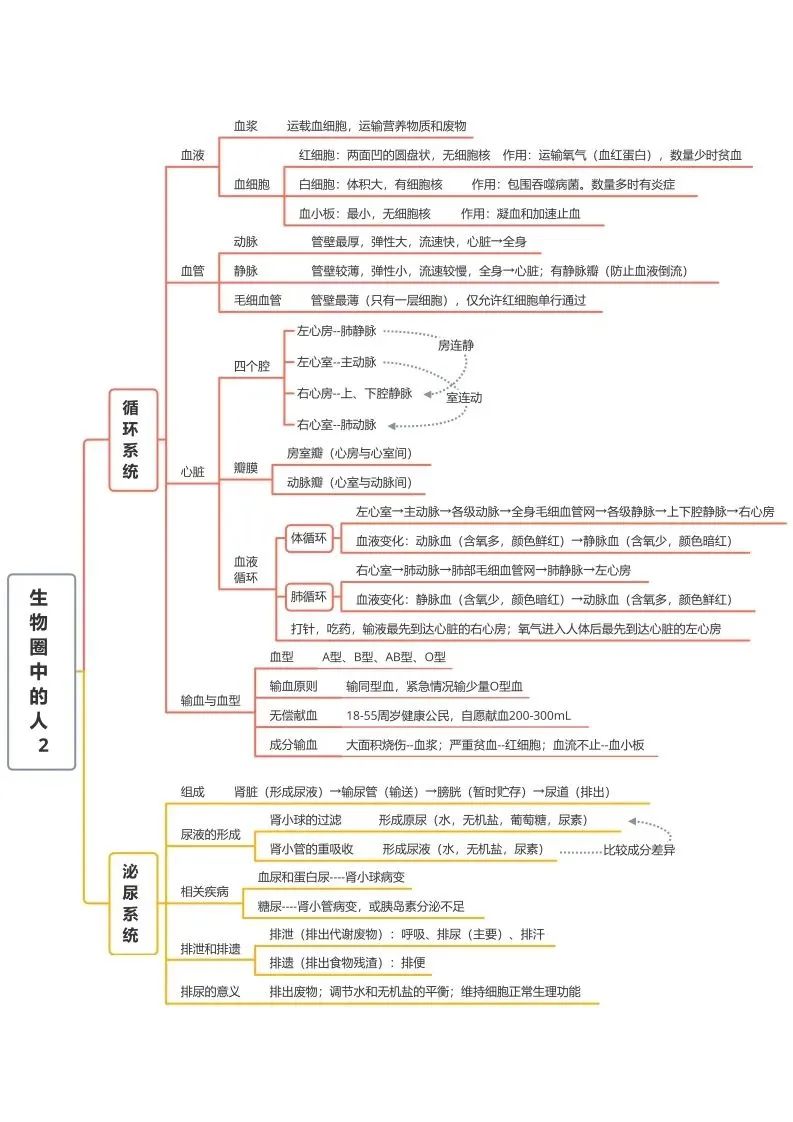 初中生物思维导图-生物圈中人（2）