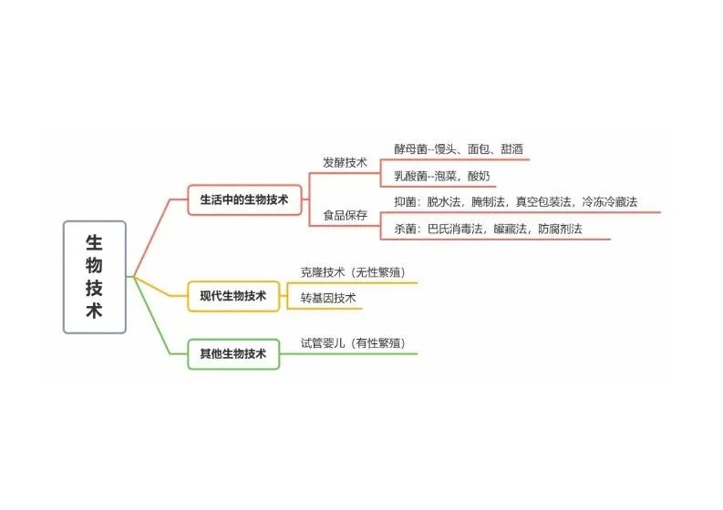 初中生物思维导图-生物技术