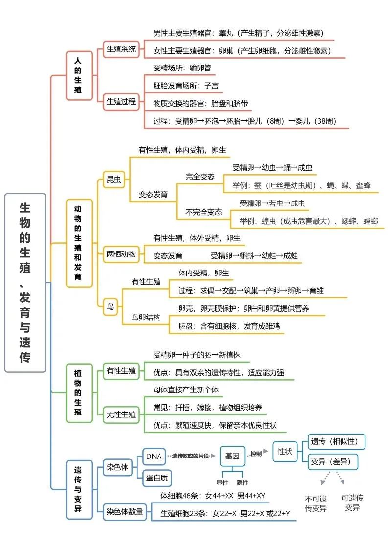 初中生物思维导图-生物的生殖、发育与遗传