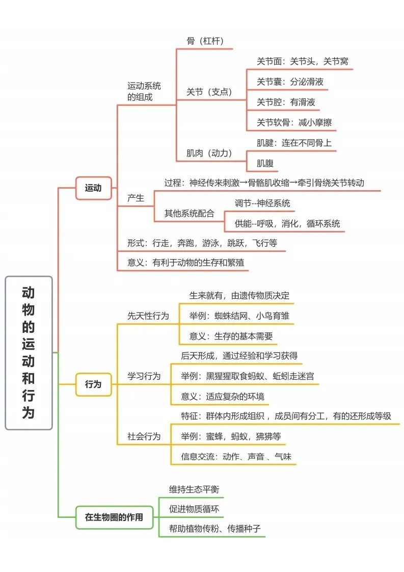 初中生物思维导图-动物的运动和行为