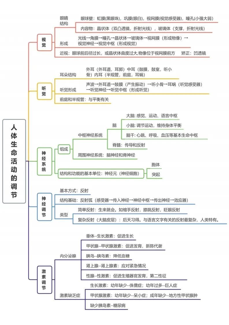 初中生物思维导图-人体生命活动的调节