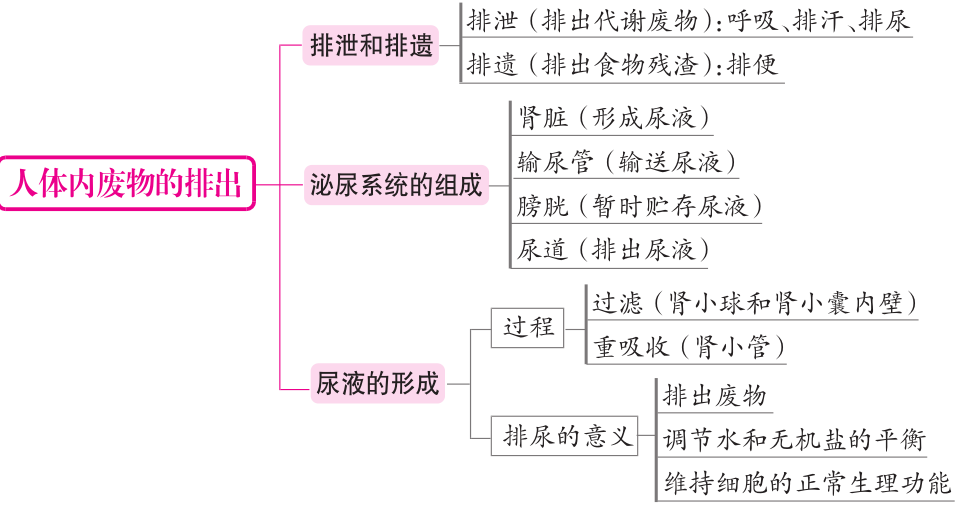 七年级下册生物知识思维导图(人教版)