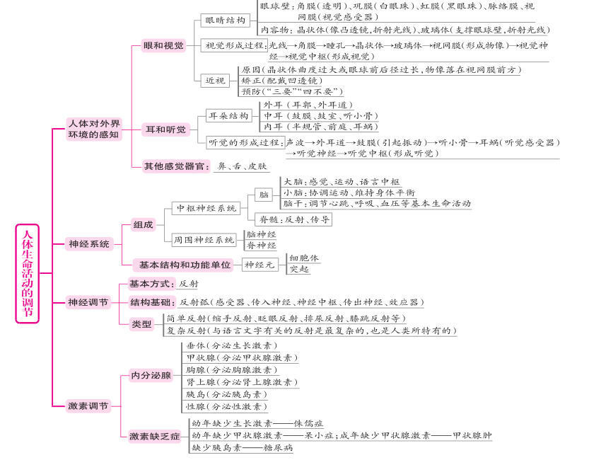 七年级下册生物知识思维导图(人教版)