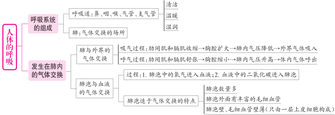 七年级下册生物知识思维导图(人教版)