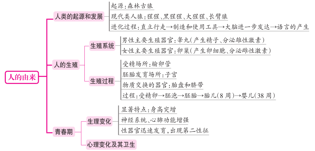 七年级下册生物知识思维导图(人教版)