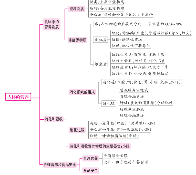 七年级下册生物知识思维导图(人教版)
