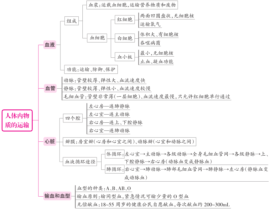 七年级下册生物知识思维导图(人教版)
