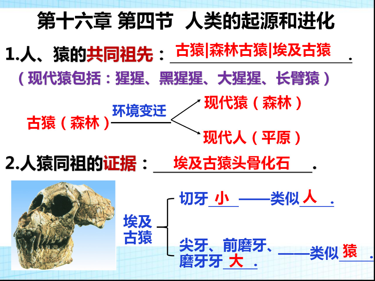 八年级生物第十五章、十六章复习总结