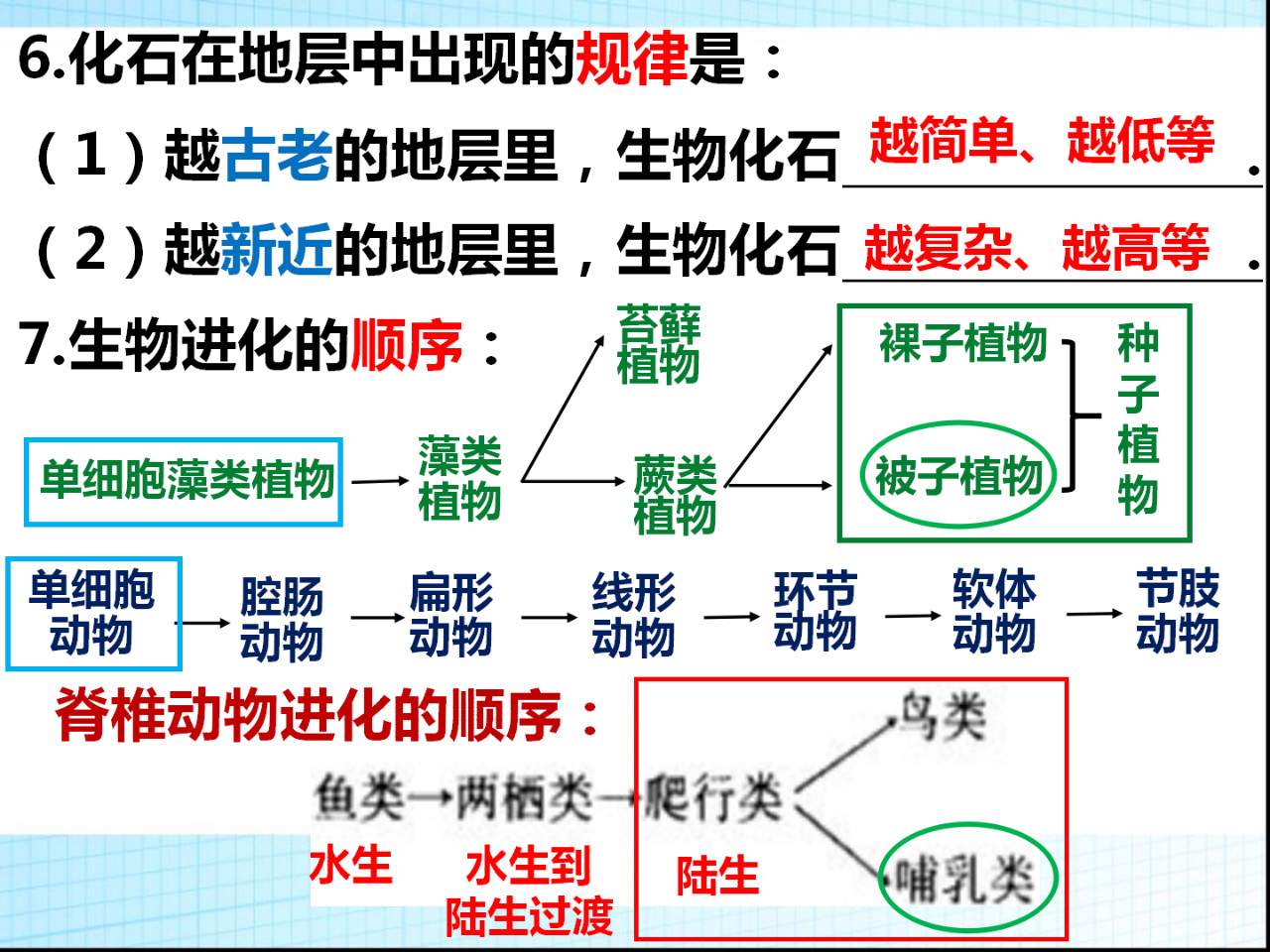 八年级生物第十五章、十六章复习总结