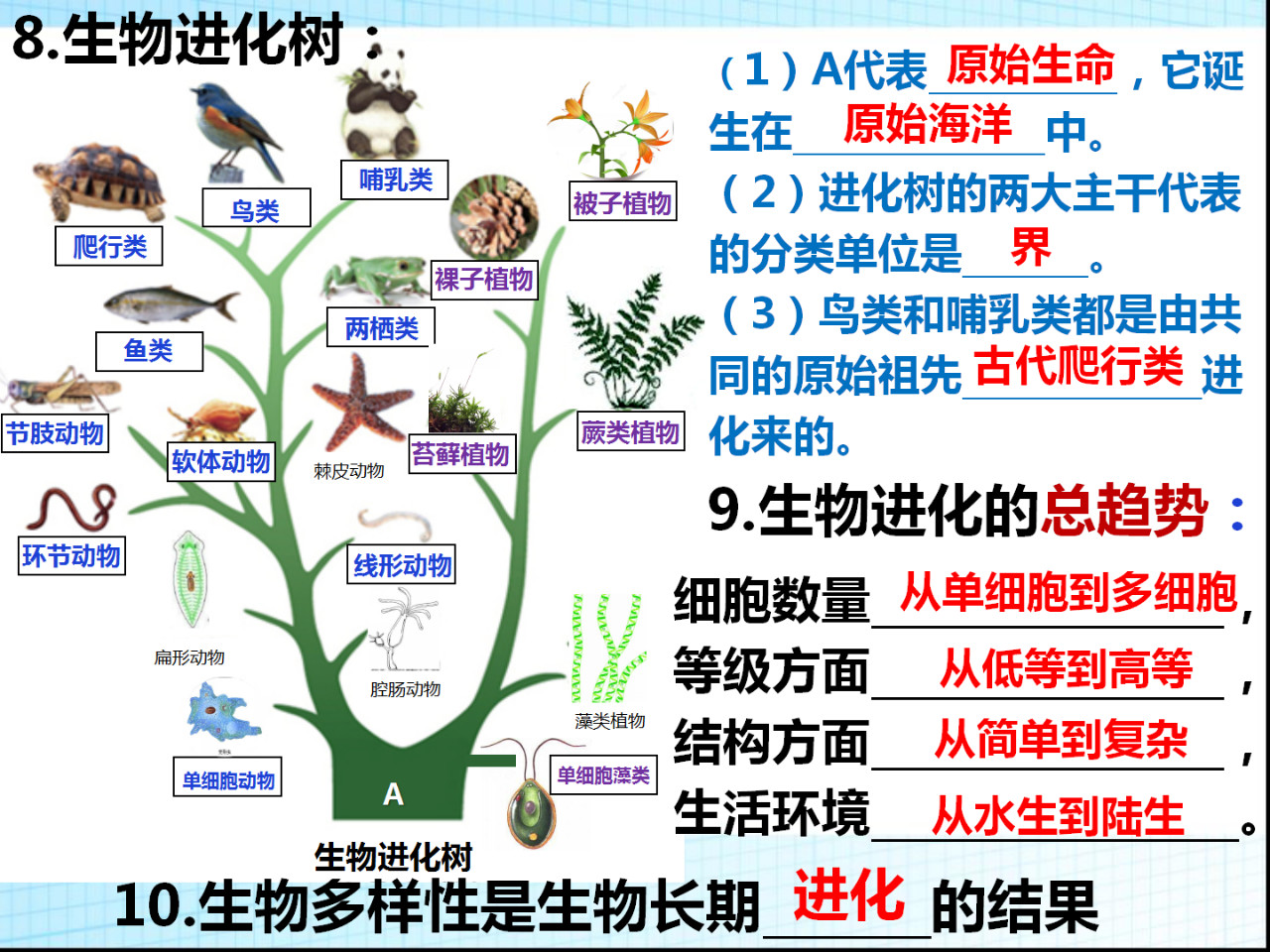八年级生物第十五章、十六章复习总结