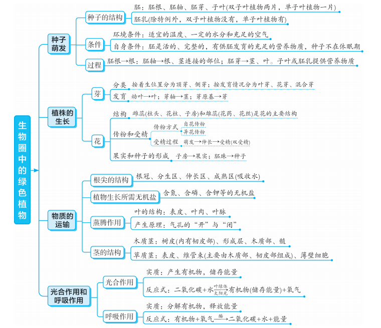 初中生物超详细专题知识点图解梳理