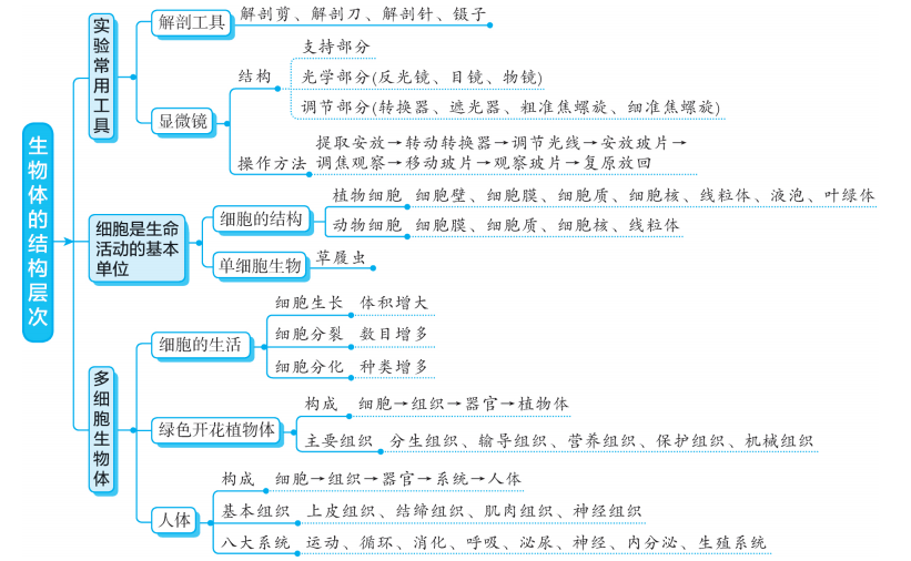 初中生物超详细专题知识点图解梳理
