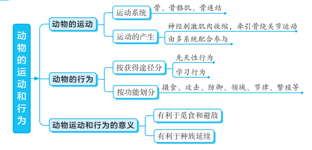 初中生物超详细专题知识点图解梳理