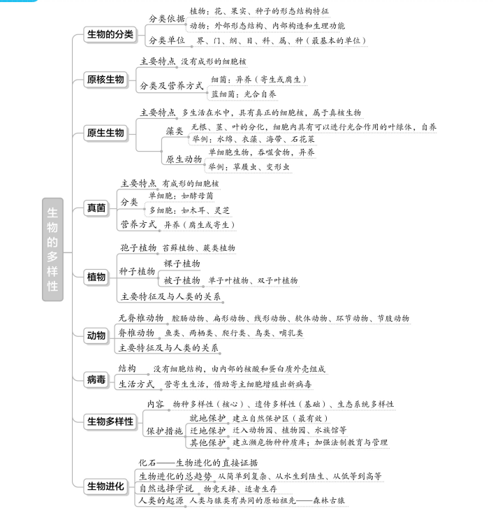 初中生物超详细专题知识点图解梳理