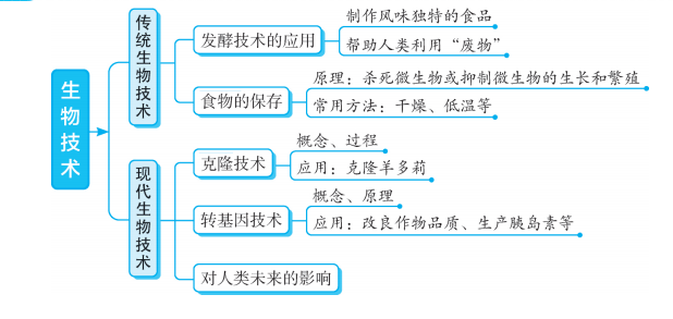 初中生物超详细专题知识点图解梳理