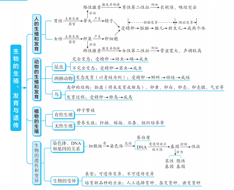 初中生物超详细专题知识点图解梳理