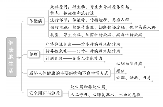 初中生物超详细专题知识点图解梳理