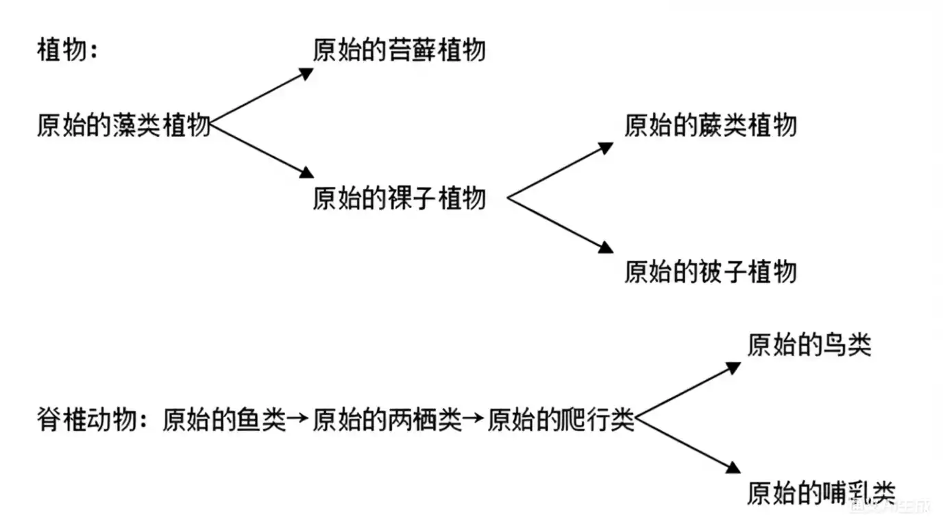 初中生物常考的4个要点